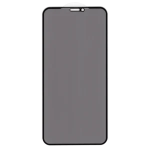 Захисне Скло iPhone X, XS, 11 Pro Анти-шпигун Privacy 5D Full Glue